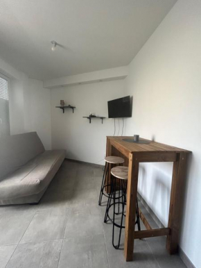 Appartement plein centre